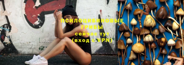 скорость Алексеевка