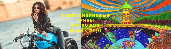 кокс Алексин