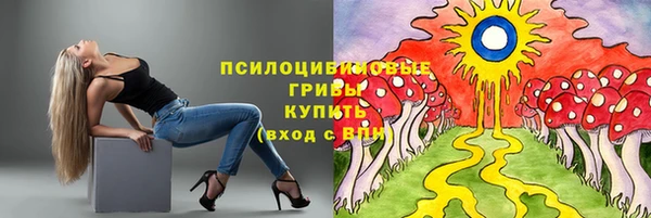 гидропоника Алзамай