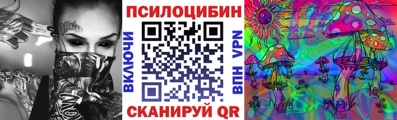 Галлюциногенные грибы GOLDEN TEACHER  где найти наркотики  Ессентукская 
