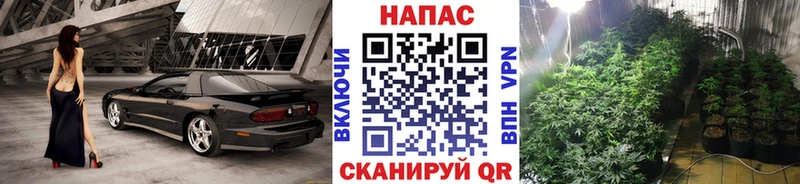 Канабис ГИДРОПОН Ессентукская